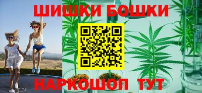 индика Уссурийск