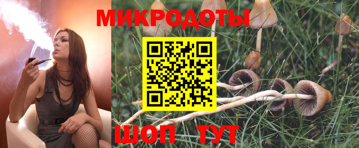Галлюциногенные грибы MAGIC MUSHROOMS  Псилоцибиновые грибы ЛСД  как найти закладки  Вход с VPN  Медногорск 